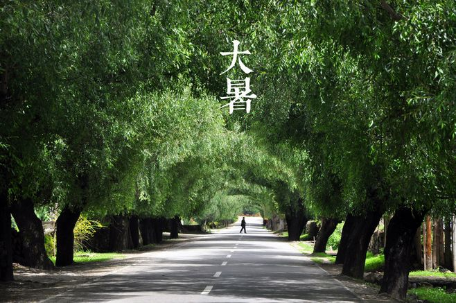大暑丨葡園消煩暑，夢涼天地寬